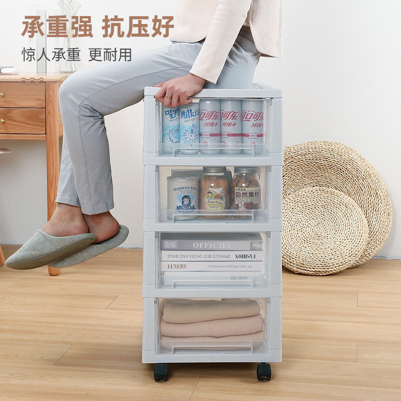 Modern transparant opbergrek v - Sustainable Living Officer recensie en prijs
