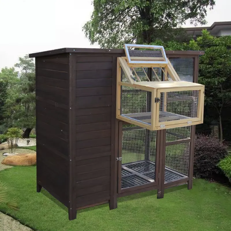 Vogelkooi, binnenlandse gecomb - Sustainable Living House recensie en prijs